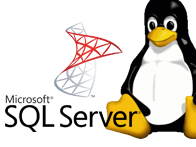 Microsoft SQL Server auf Linux - schule.at